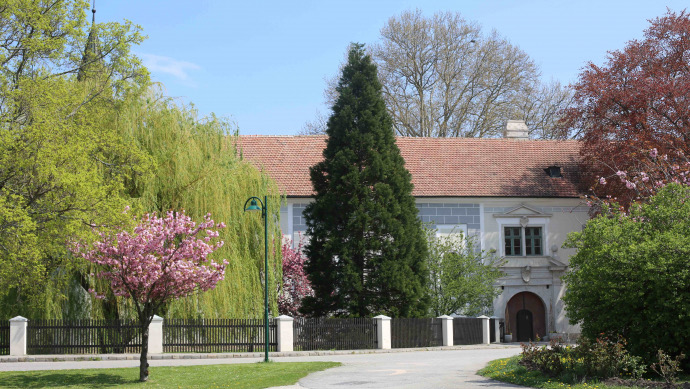 Conference audience listening